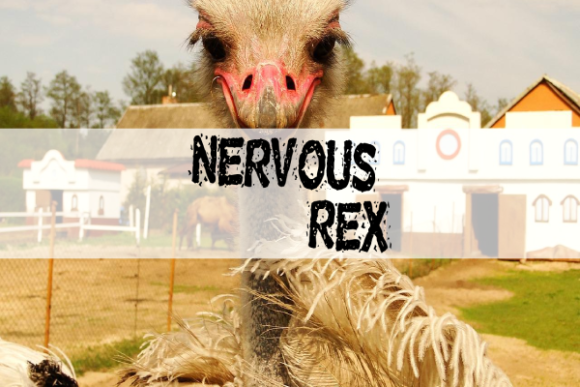 Nervous Rex: A Playful Display Font for Bold Designs
